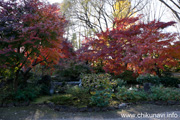 最勝寺の紅葉