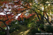 最勝寺の紅葉