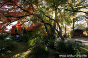 最勝寺の紅葉