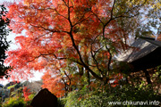 最勝寺の紅葉