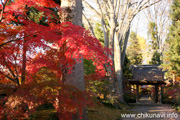 最勝寺の紅葉