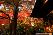 最勝寺の紅葉