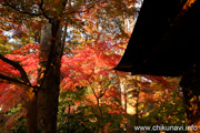 最勝寺の紅葉