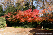 最勝寺の紅葉