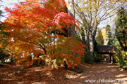 最勝寺の紅葉