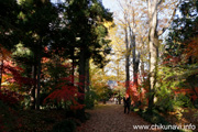 最勝寺の紅葉