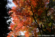 最勝寺の紅葉