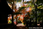 最勝寺の紅葉