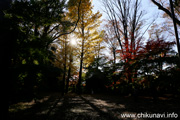 最勝寺の紅葉