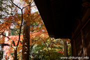 最勝寺の紅葉