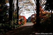 最勝寺の紅葉