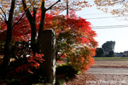 最勝寺の紅葉