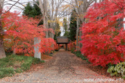 最勝寺の紅葉