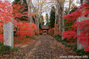 最勝寺の紅葉