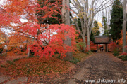 最勝寺の紅葉