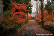 最勝寺の紅葉