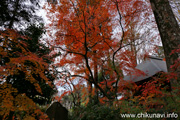 最勝寺の紅葉