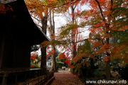 最勝寺の紅葉