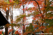 最勝寺の紅葉