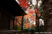 最勝寺の紅葉