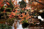 最勝寺の紅葉