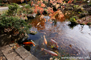 最勝寺の紅葉