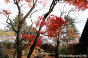 最勝寺の紅葉