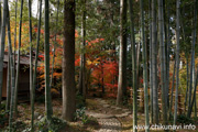 最勝寺の紅葉