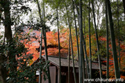 最勝寺の紅葉