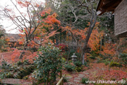 最勝寺の紅葉