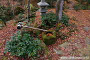 最勝寺の紅葉