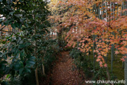 最勝寺の紅葉