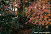 最勝寺の紅葉