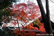 最勝寺の紅葉