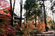 最勝寺の紅葉