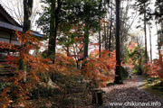 最勝寺の紅葉