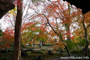 最勝寺の紅葉