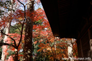 最勝寺の紅葉