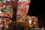 最勝寺の紅葉