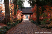 最勝寺の紅葉