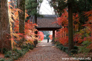 最勝寺の紅葉