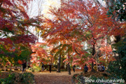 最勝寺の紅葉