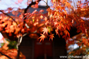 最勝寺の紅葉