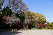 最勝寺の紅葉