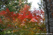 最勝寺の紅葉