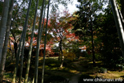 最勝寺の紅葉