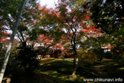 最勝寺の紅葉