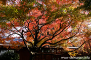 最勝寺の紅葉