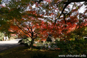 最勝寺の紅葉