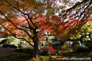 最勝寺の紅葉